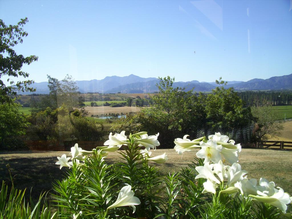 Omaka Heights Countrystay Renwick Exteriér fotografie