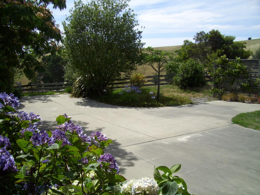 Omaka Heights Countrystay Renwick Exteriér fotografie
